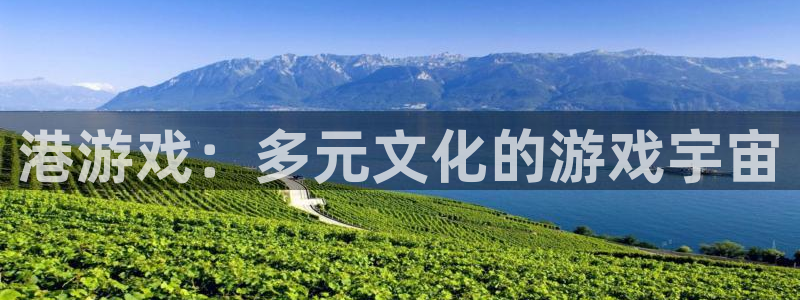 陕西亿万28子文化公司加我qq：港游戏：多元文化的游戏宇宙