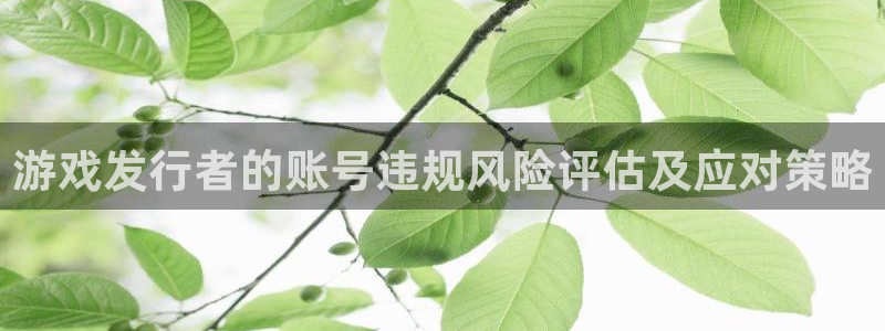 亿万28官网平台代理开号怎么开：游戏发行者的账号违规风险评估及应对策略