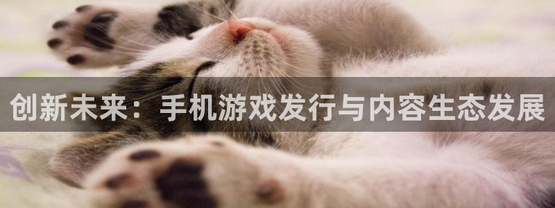亿万28官网是赌博么：创新未来：手机游戏发行与内容生态发展