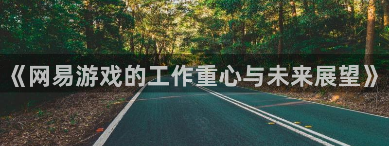 亿万28官网登录注册账号失败怎么办：《网易游戏的工作重心与未来展望》