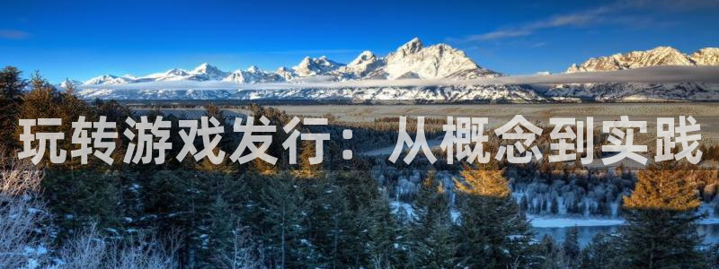 广州亿万28投资：玩转游戏发行：从概念到实践