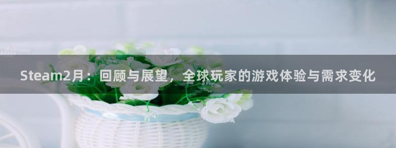 亿万28有什么寓意：Steam2月：回顾与展望，全球玩家的游戏体验与需求变化