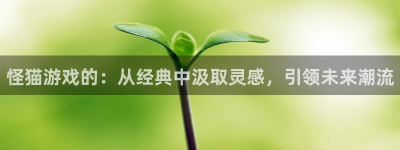 亿万28官网官网注册账号是什么：怪猫游戏的：从经典中汲取灵感，引领未来潮流