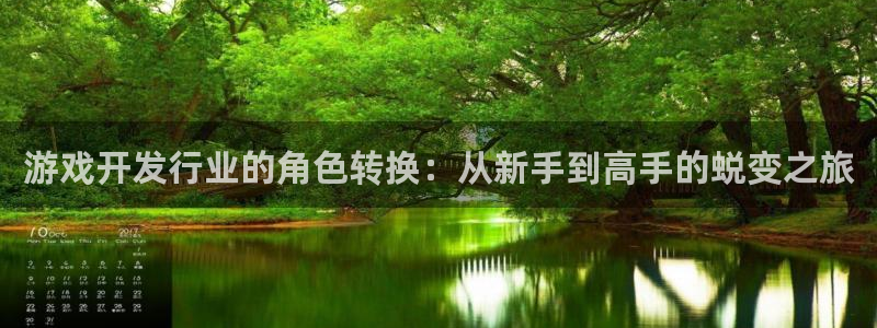 亿万28官网主管他494o3 主管：游戏开发行业的角色转换：从新手到高手的蜕变之旅