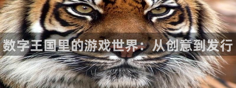 深圳亿万28电商：数字王国里的游戏世界：从创意到发行