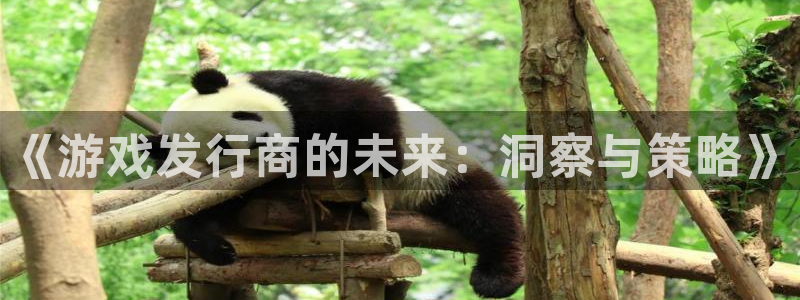 亿万28官网官网注册账号是什么：《游戏发行商的未来：洞察与策略》