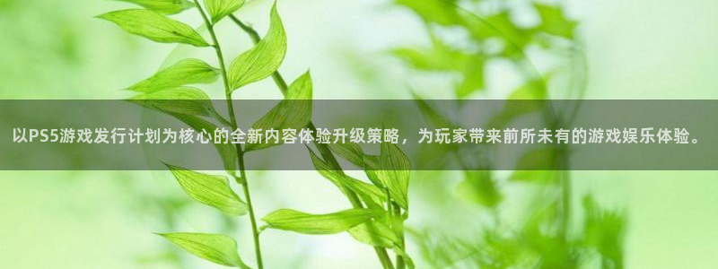 长沙亿万28子电子商务有限公司：以PS5游戏发行计划为核心的全新内容体验升级策略，为玩家带来前所未有的游戏娱乐体验。