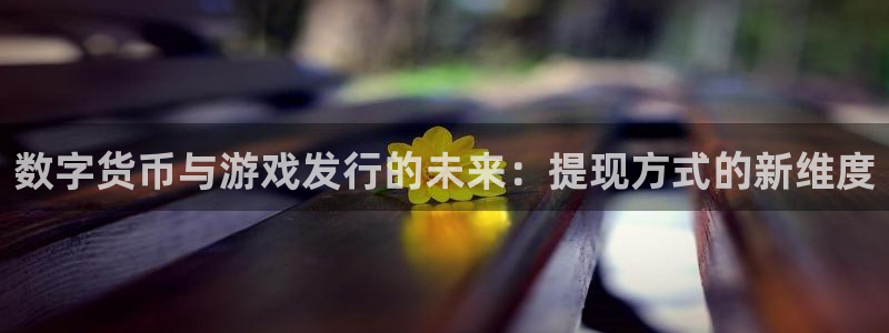 亿万28官网注册登录：数字货币与游戏发行的未来：提现方式的新维度
