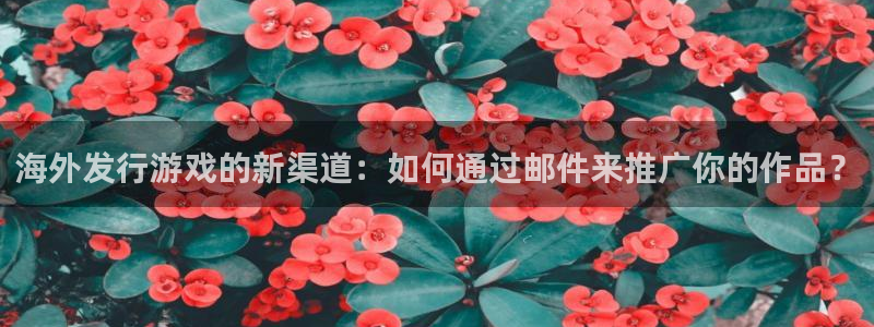 亿万28庄园：海外发行游戏的新渠道：如何通过邮件来推广你的作品？
