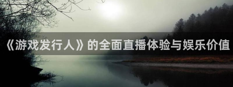 亿万28子经理人读后感